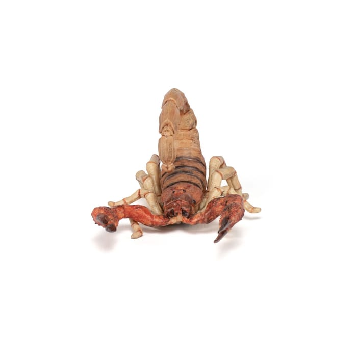 Scorpion, L: 10.5 cm