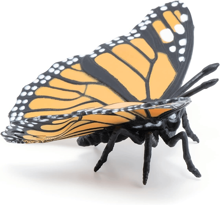 Monarch Butterfly, W: 7 cm