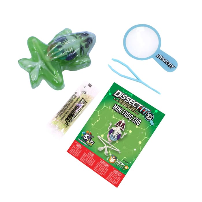 Dissect It - Mini Frog Lab