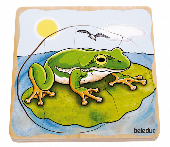 Layered Puzzle - Frog Life Cycle