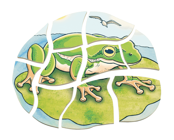 Layered Puzzle - Frog Life Cycle