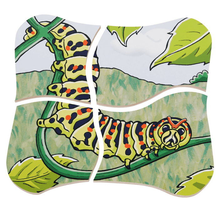 Layered Puzzle - Butterfly Life Cycle