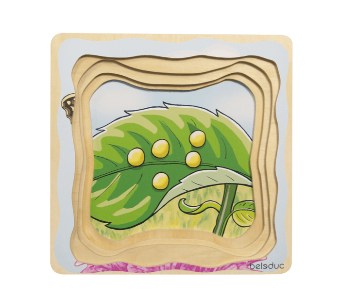 Layered Puzzle - Butterfly Life Cycle