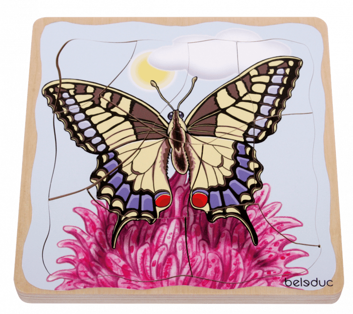 Layered Puzzle - Butterfly Life Cycle