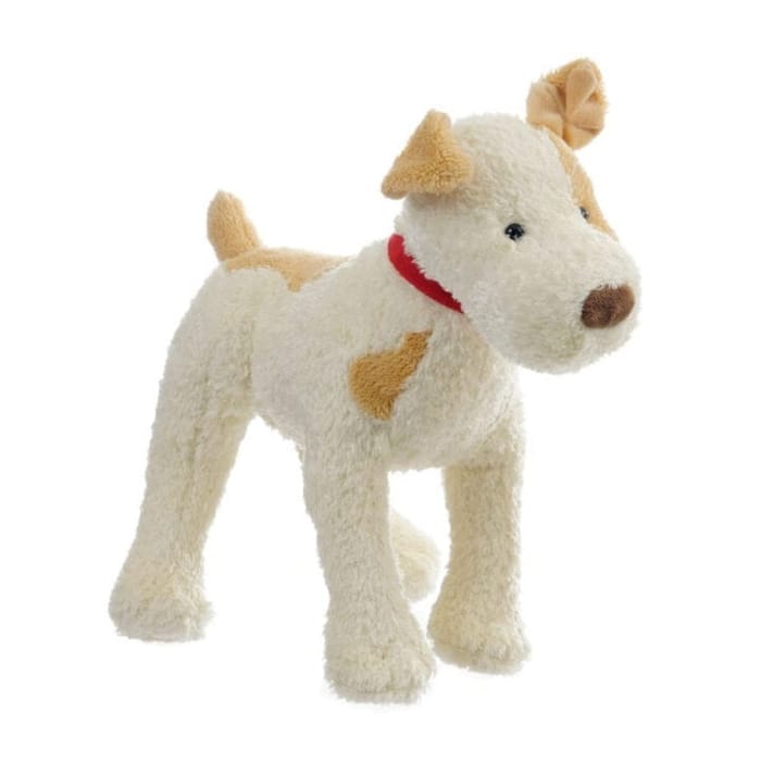 Eliot the Dog