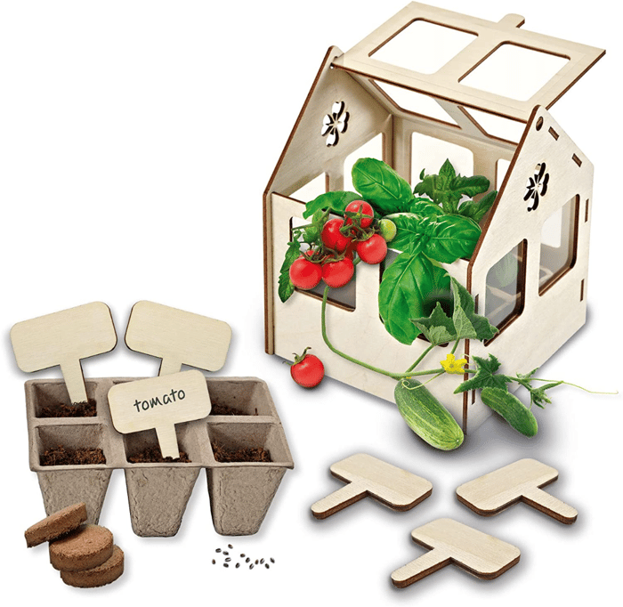 Build Your Own Greenhouse - Incl. Plant Seeds