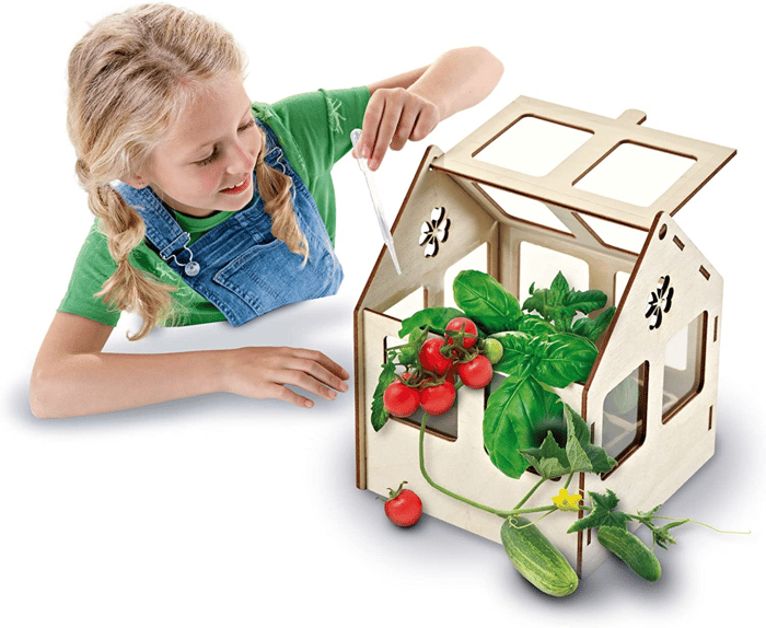 Build Your Own Greenhouse - Incl. Plant Seeds