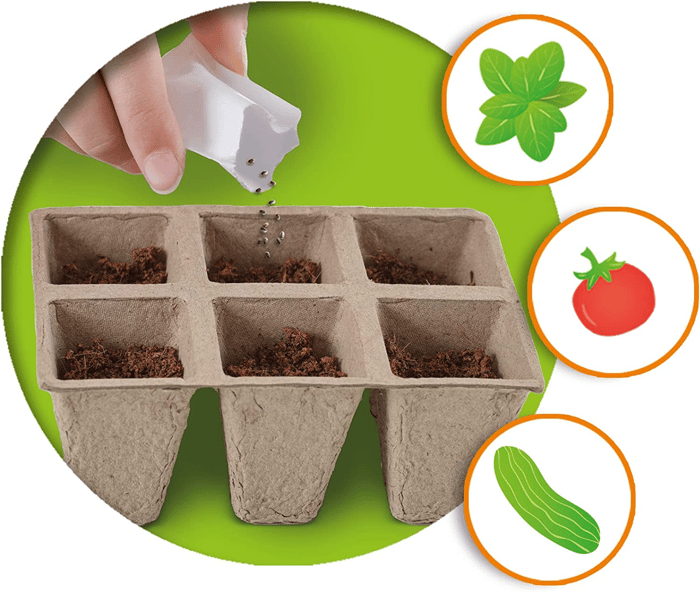 Build Your Own Greenhouse - Incl. Plant Seeds