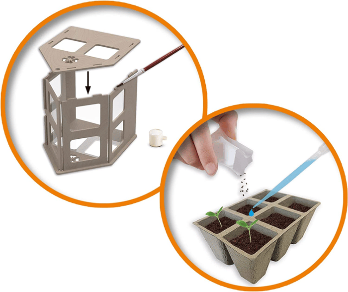 Build Your Own Greenhouse - Incl. Plant Seeds