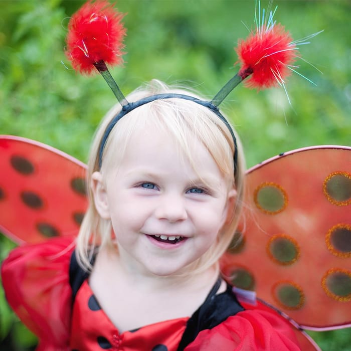 Ladybug Costume - Wings & Headband, Size 3-7 yrs