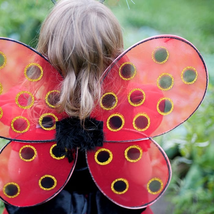 Ladybug Costume - Wings & Headband, Size 3-7 yrs