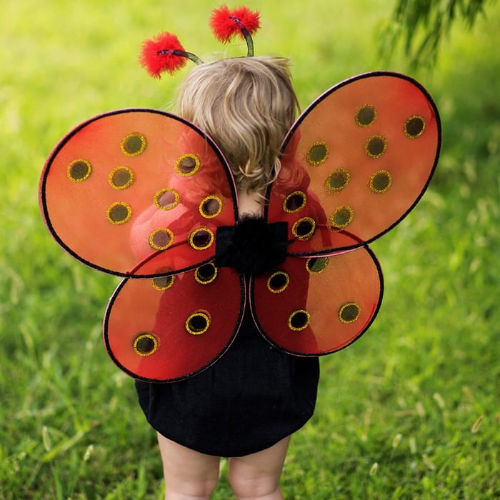 Ladybug Costume - Wings & Headband, Size 3-7 yrs