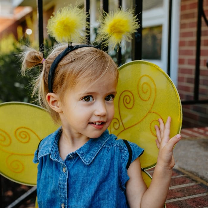 Bumblebee Costume - Wings & Headband, Size 3-7 yrs