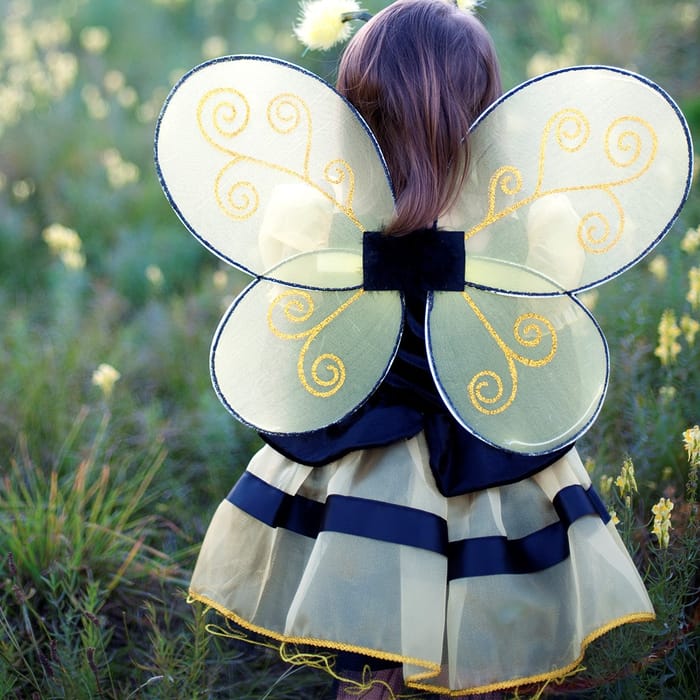 Bumblebee Costume - Wings & Headband, Size 3-7 yrs