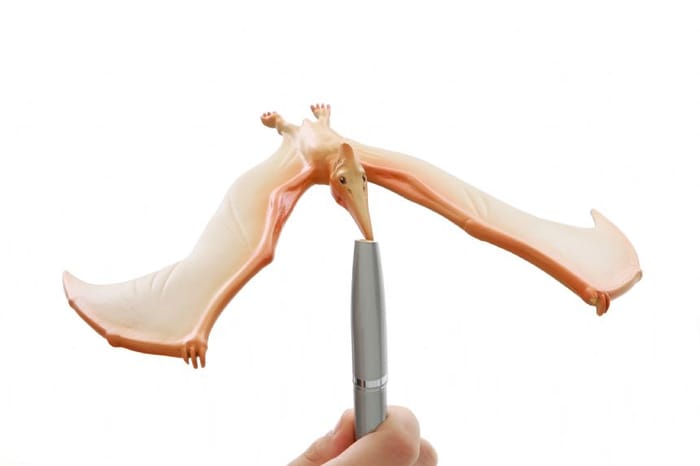 Balancing Pteranodon Toy
