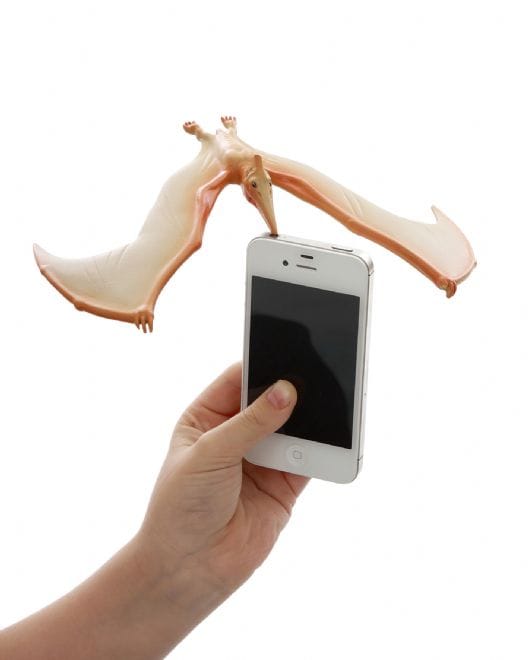 Balancing Pteranodon Toy