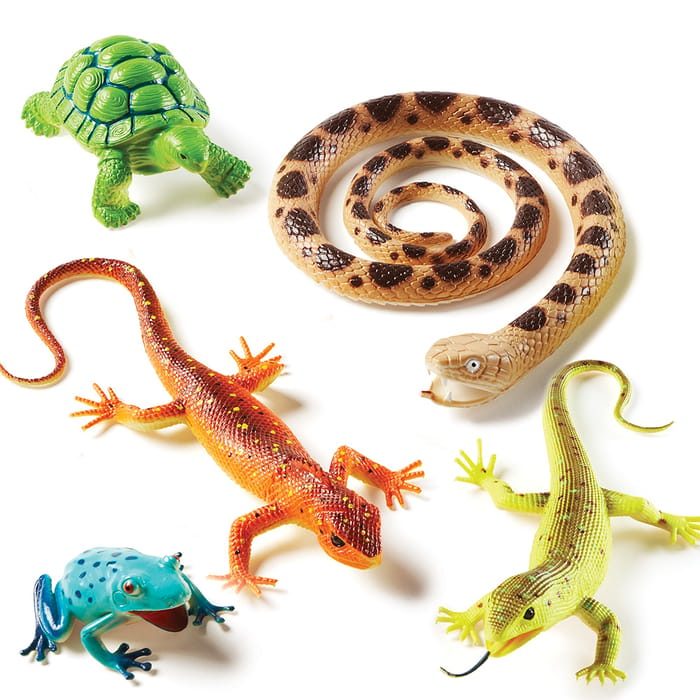 Jumbo Reptiles and Amphibians, 5 pcs