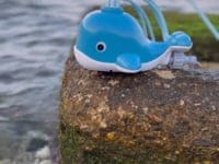 Water Play - Water Spraying Whale