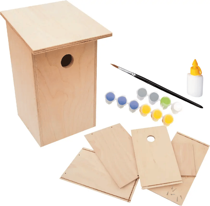 Build and Paint Your Own Bird House