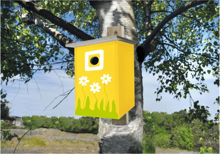 Build and Paint Your Own Bird House