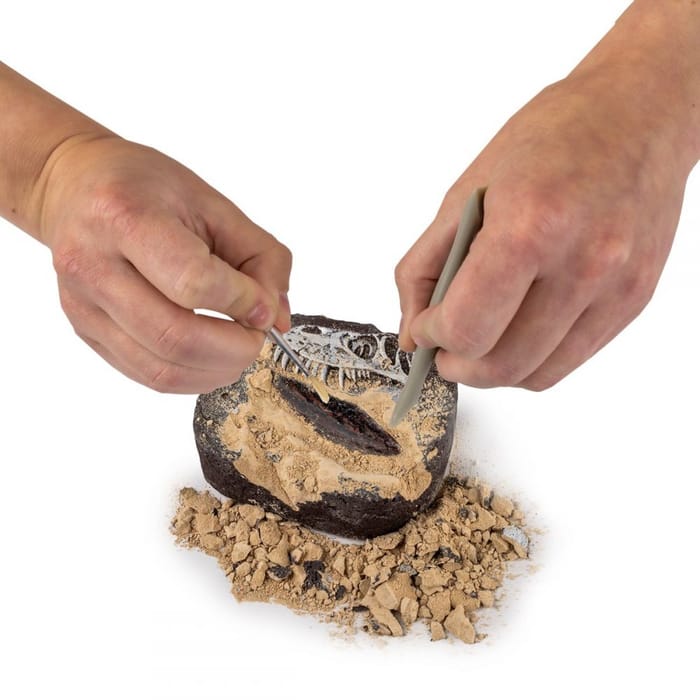 Dino Fossil Dig Kit
