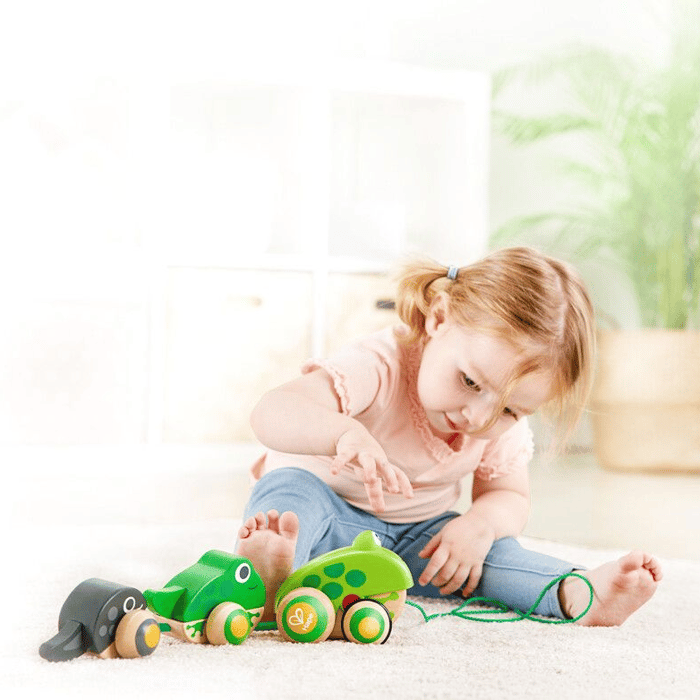 Pull-Along Toy - Frog Family