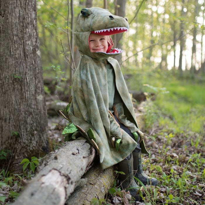 T-Rex Cape with Claws - Green, 4-6 yrs