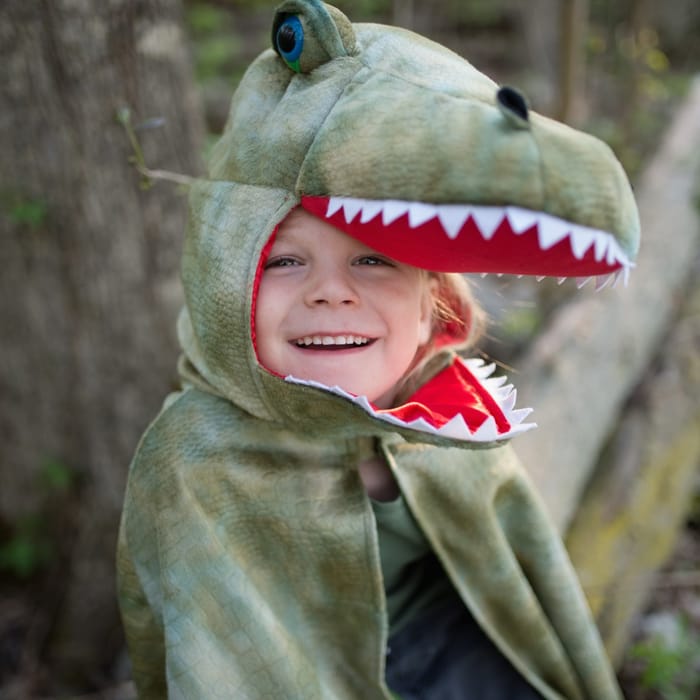 T-Rex Cape with Claws - Green, 4-6 yrs