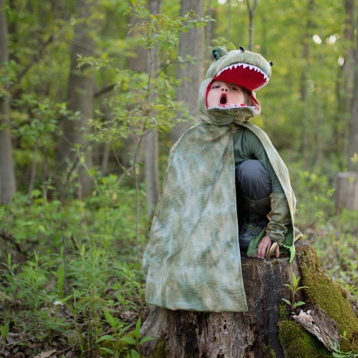T-Rex Cape with Claws - Green, 4-6 yrs