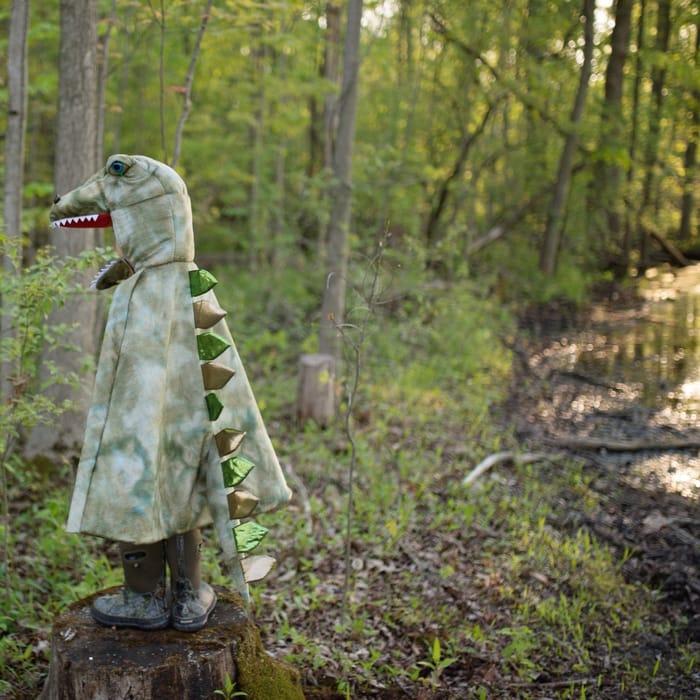 T-Rex Cape with Claws - Green, 4-6 yrs
