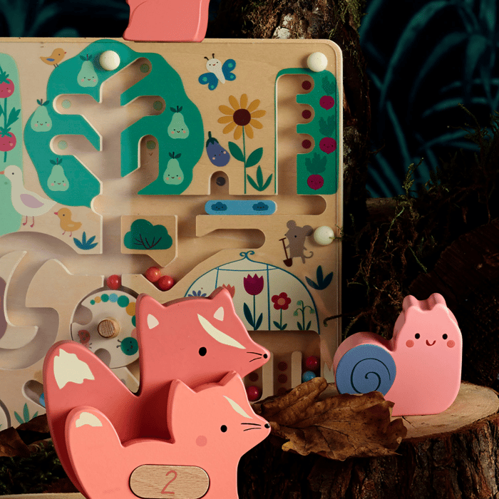 Magnetic Maze Game - In the Garden