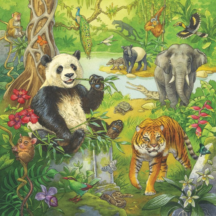 Puzzle with 3 x 49 pcs - Jungle