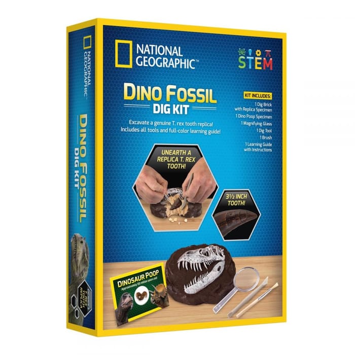 Dino Fossil Dig Kit
