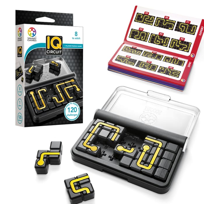 Logic Puzzle - IQ Circuit