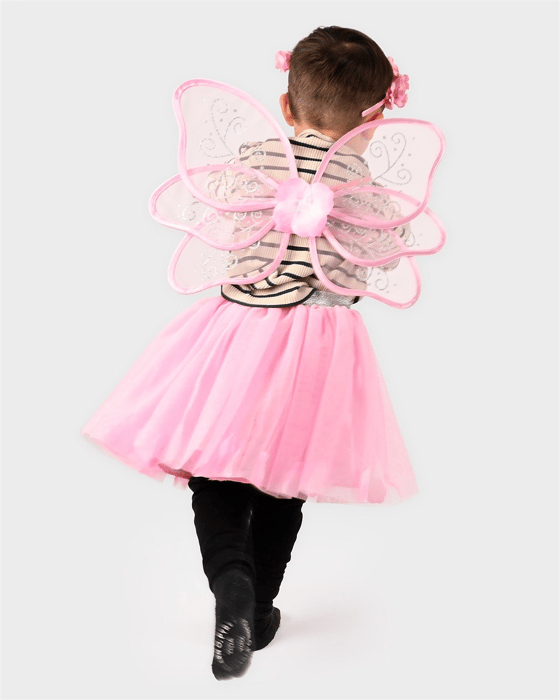 Skirt & Wings - Pink, Size 2-4 Years