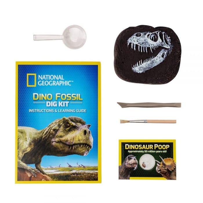 Dino Fossil Dig Kit