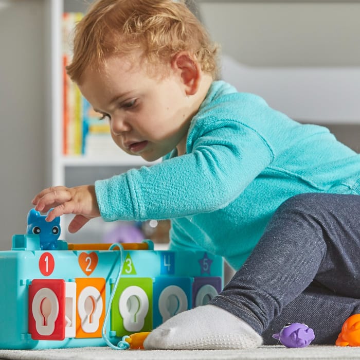 Activity Set - Lock & Key Clubhouse