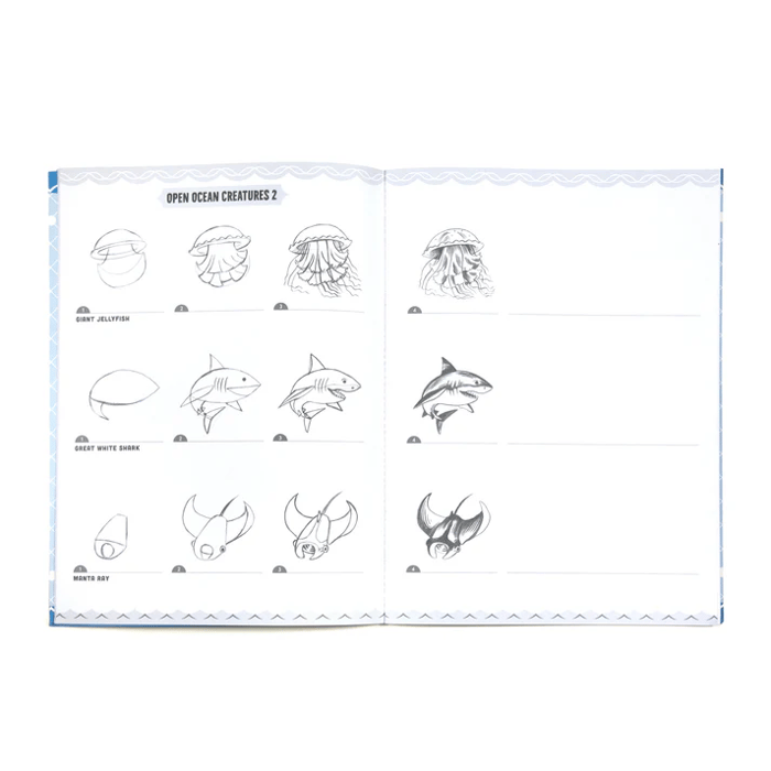Learn to Draw - Under the Sea