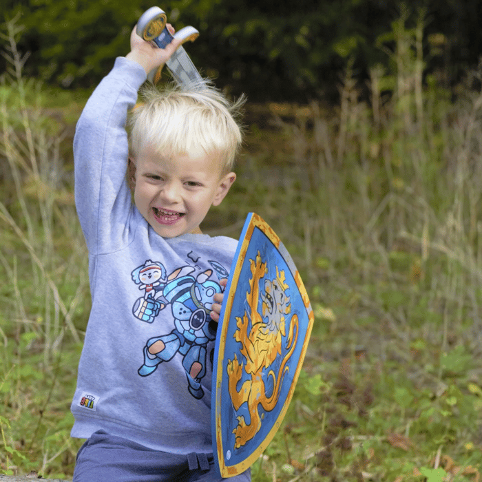 Knight Sword & Shield Set - Noble Knight (Blue)