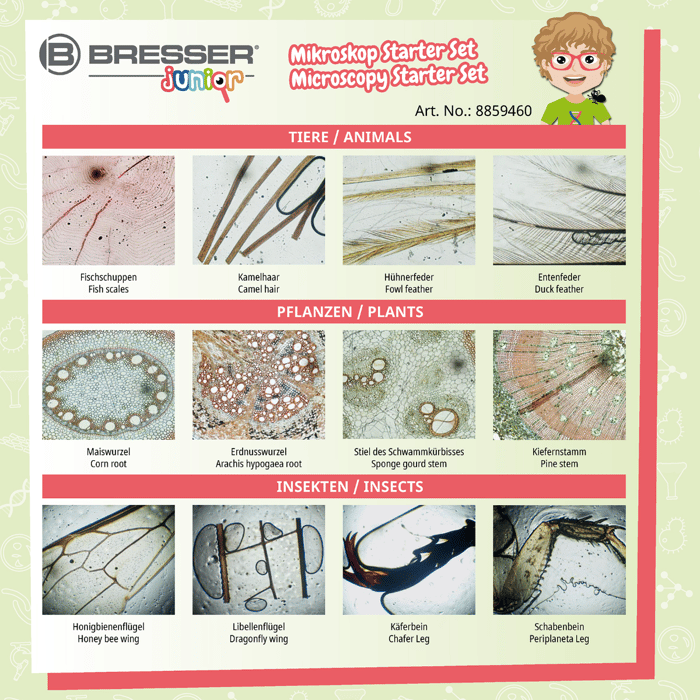 Microscope Accs. - Prepared Slides, 24 pcs