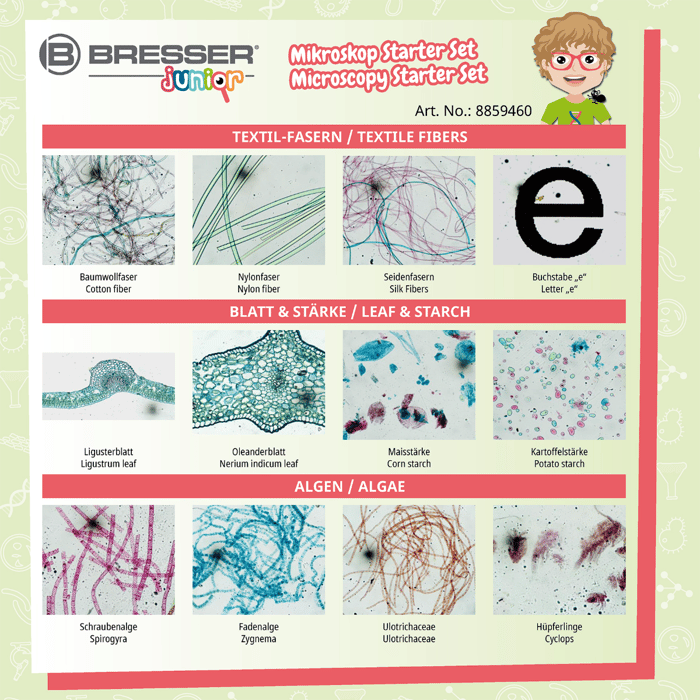 Microscope Accs. - Prepared Slides, 24 pcs
