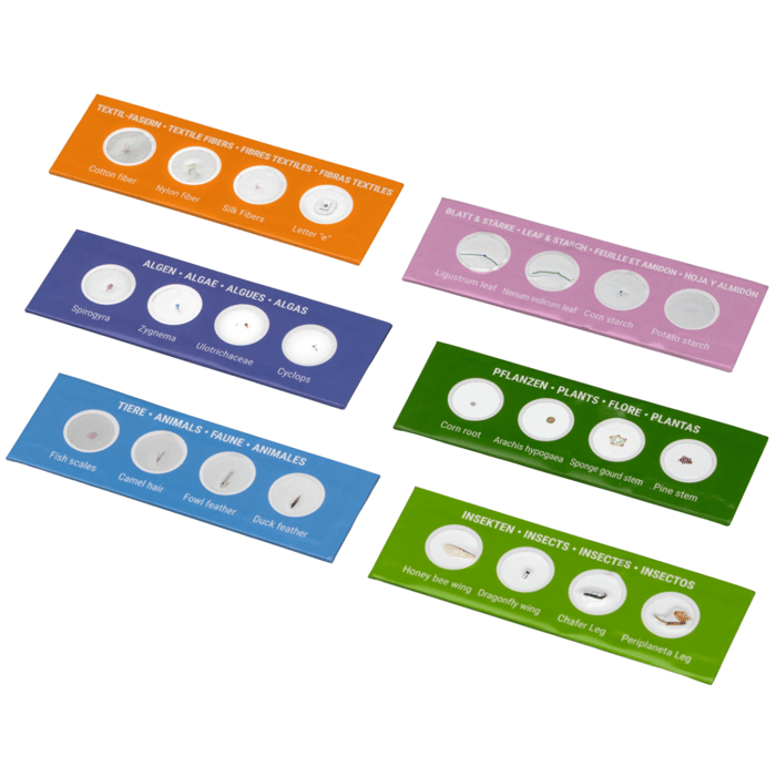 Microscope Accs. - Prepared Slides, 24 pcs