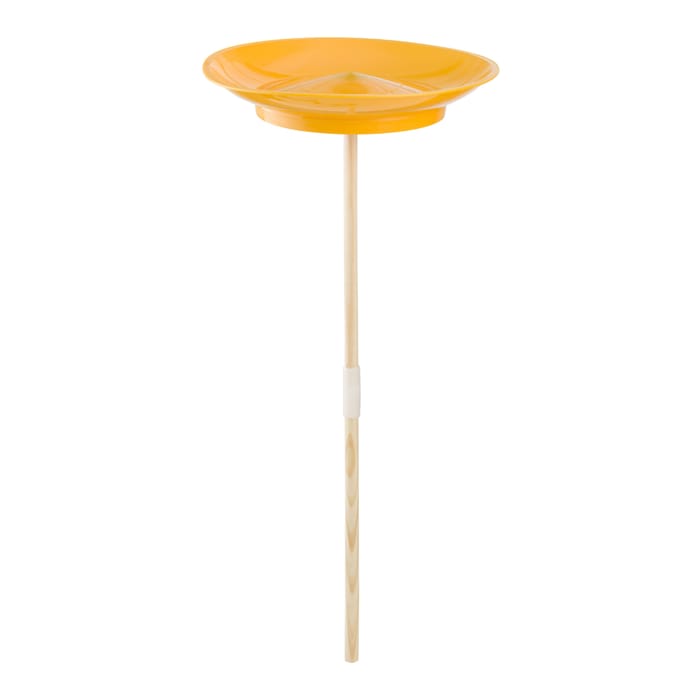 Spinning Plate
