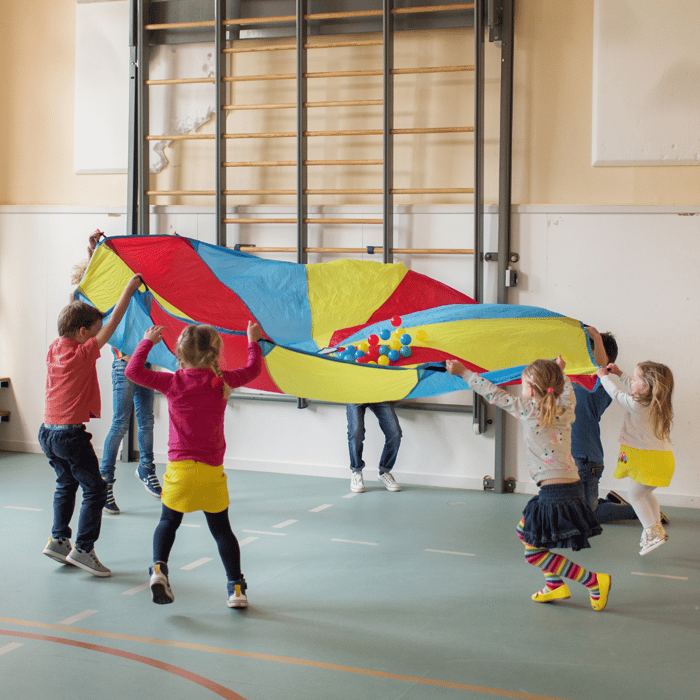 Parachute Ø3 M incl. 24 Balls
