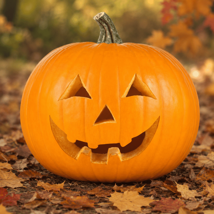 Pumpkin Carving Kit (2 Tools)