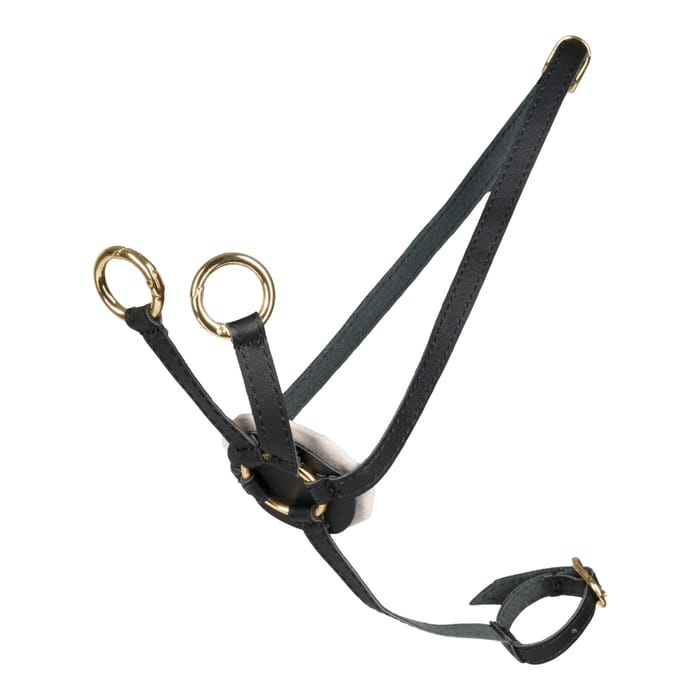 Cheval Roi Accs. - Martingale, Black/Gold