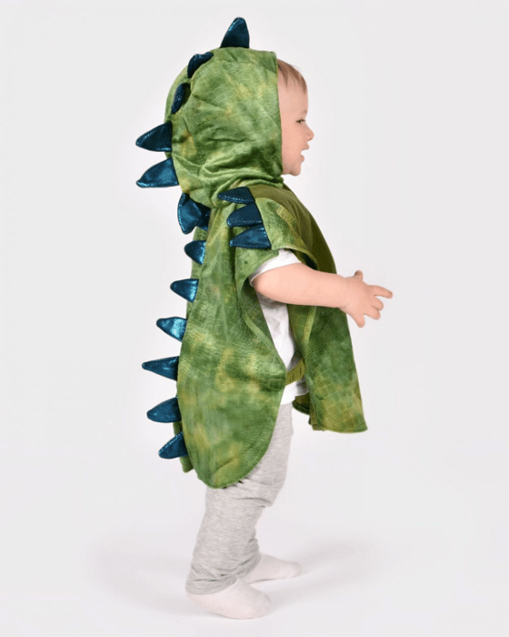 Dinosaur Costume, size 1-4 years