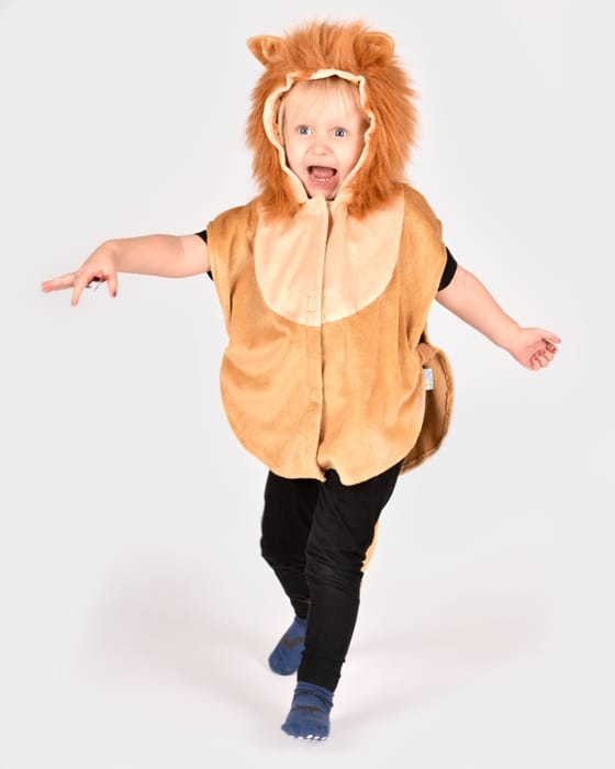 Lion Costume, size 1-4 years