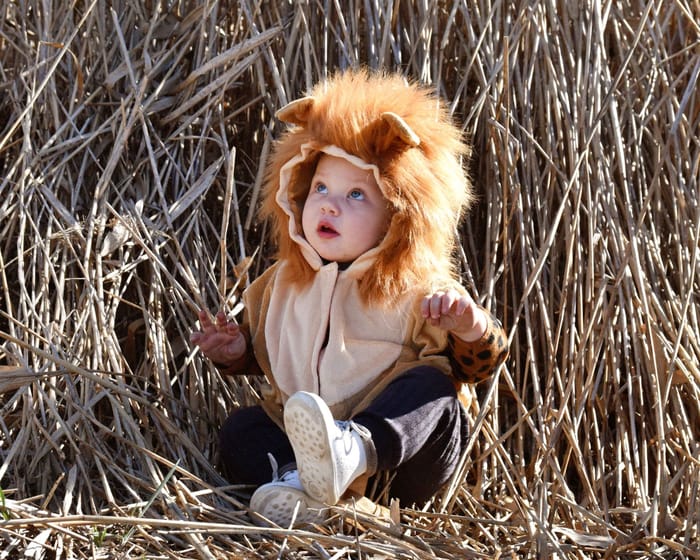 Lion Costume, size 1-4 years