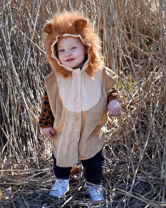 Lion Costume, size 1-4 years